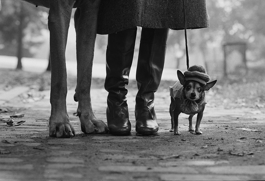 Famous Leica Photos New York City Elliott Erwitt