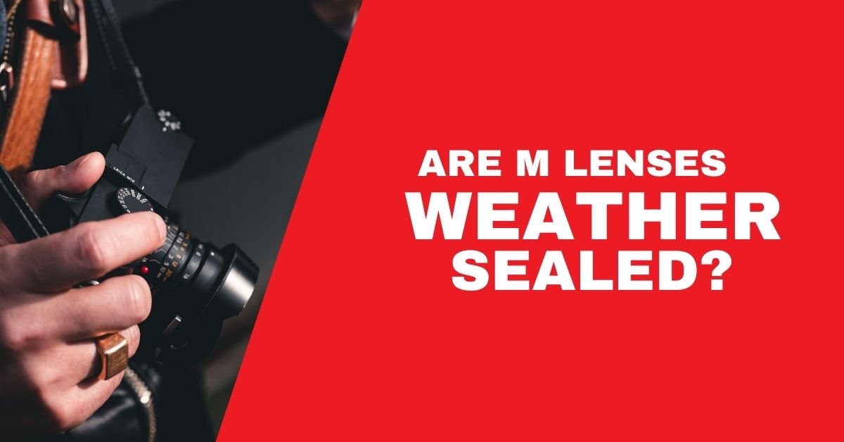 are all canon l lenses weather sealed